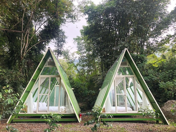「超梦幻露营」打卡推荐!「三角玻璃屋」来去阿里山「和星空约会」,小