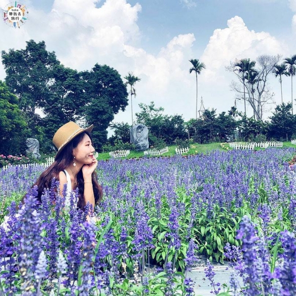苗栗賞花後花園花露休閒農場 薰衣草 精油城堡超好拍 假日一起來走走吧 苗栗賞花後花園花露休閒農場 薰衣草 精油城堡超好拍 假日一起來走走吧